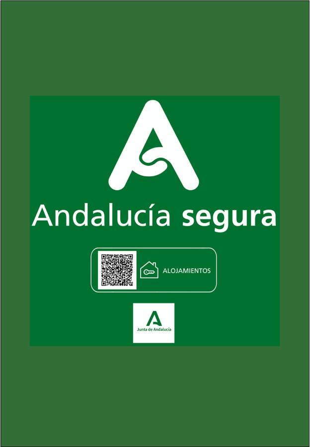 Holidays2Malaga Calle Nueva High Speed Wifi Kültér fotó